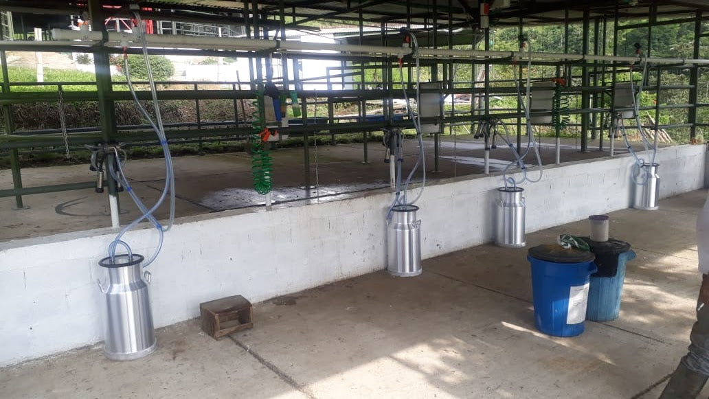 Equipo de Ordeño Fijo para Vacas 🐄🐄🐄