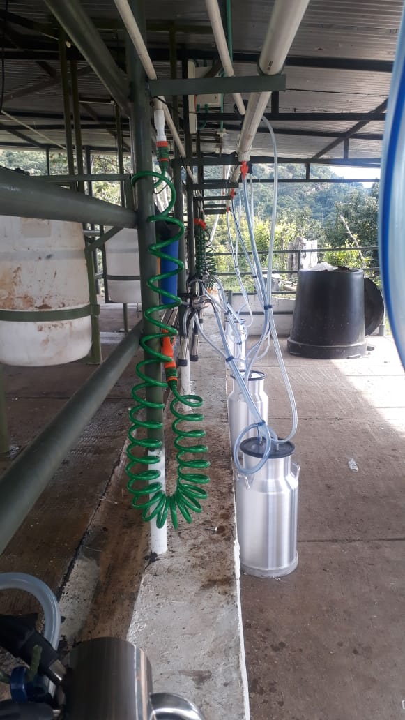 Equipo de Ordeño Fijo para Vacas 🐄🐄🐄