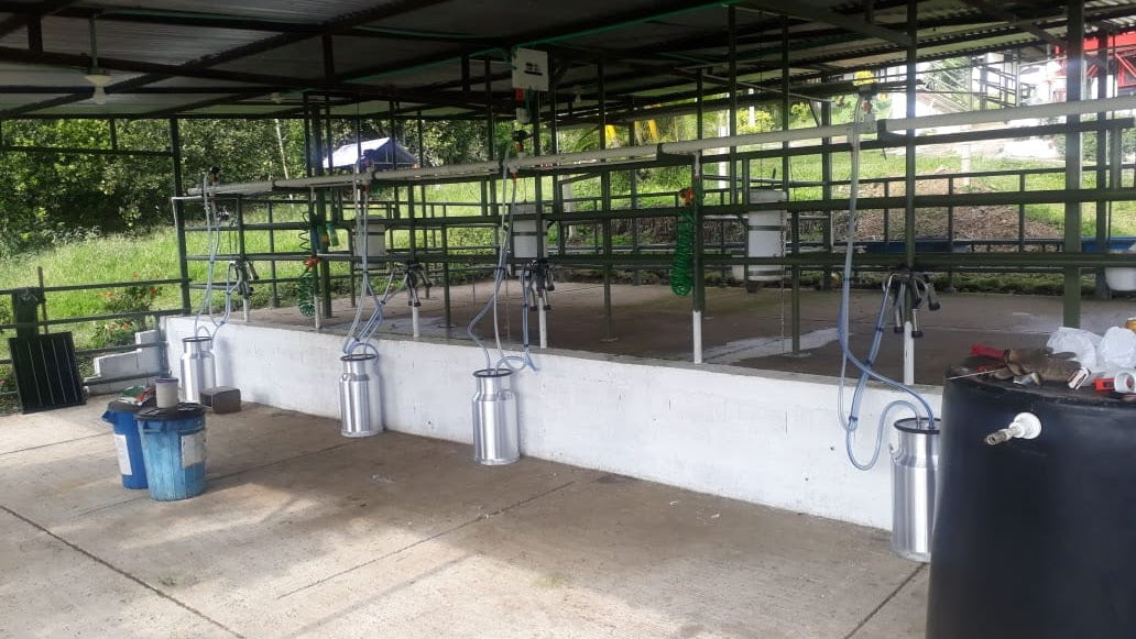 Equipo de Ordeño Fijo para Vacas 🐄🐄🐄