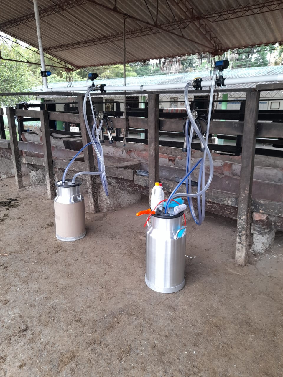 Equipo de Ordeño Fijo para Vacas 🐄🐄🐄