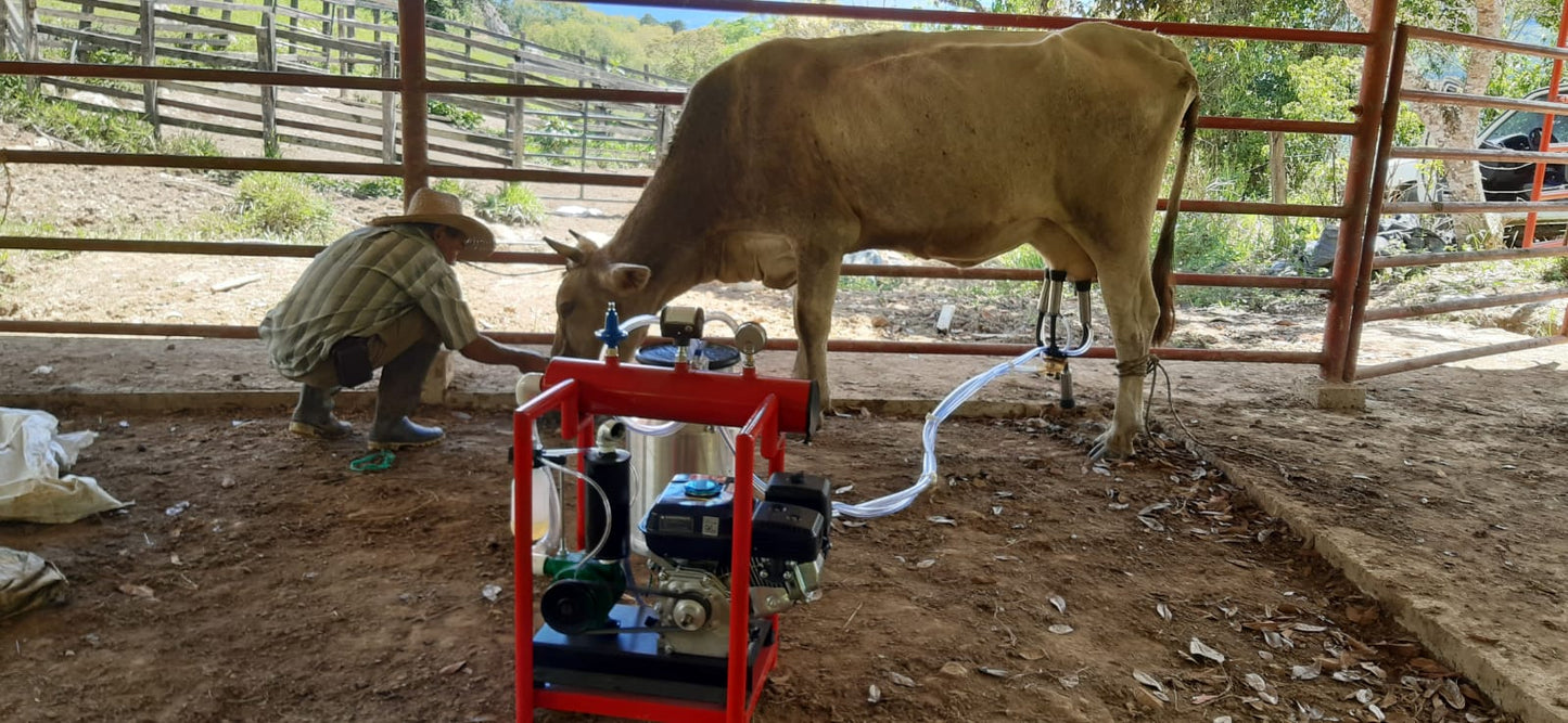Equipo de Ordeño 1 puesto - Eléctrico o Gasolina - Eco Milk + ENVIO GRATIS 🚚