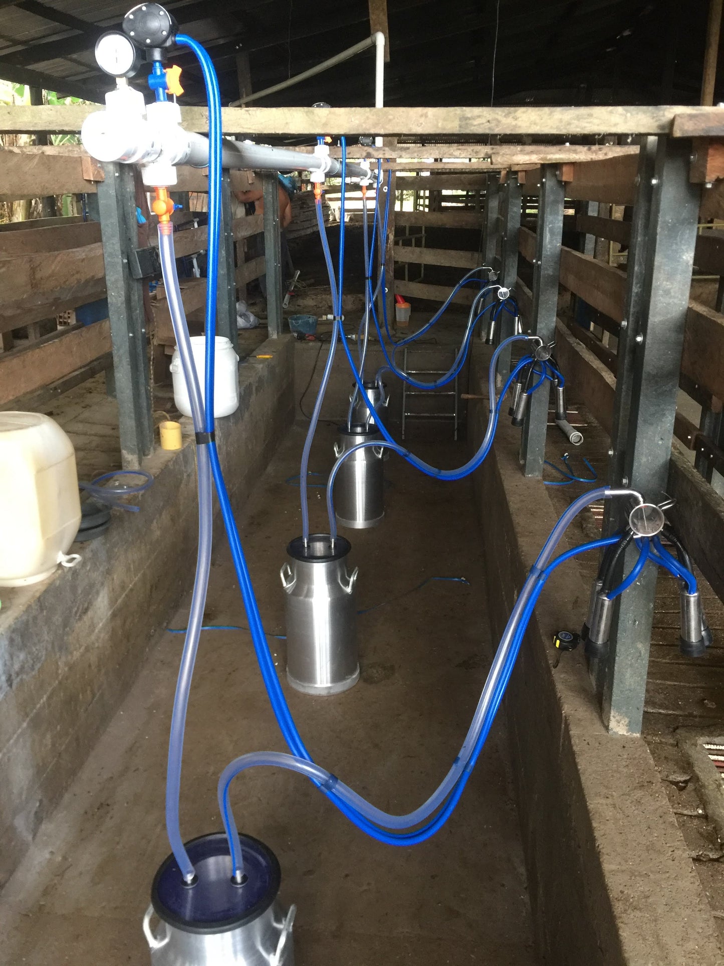 Equipo de Ordeño Fijo para Vacas 🐄🐄🐄