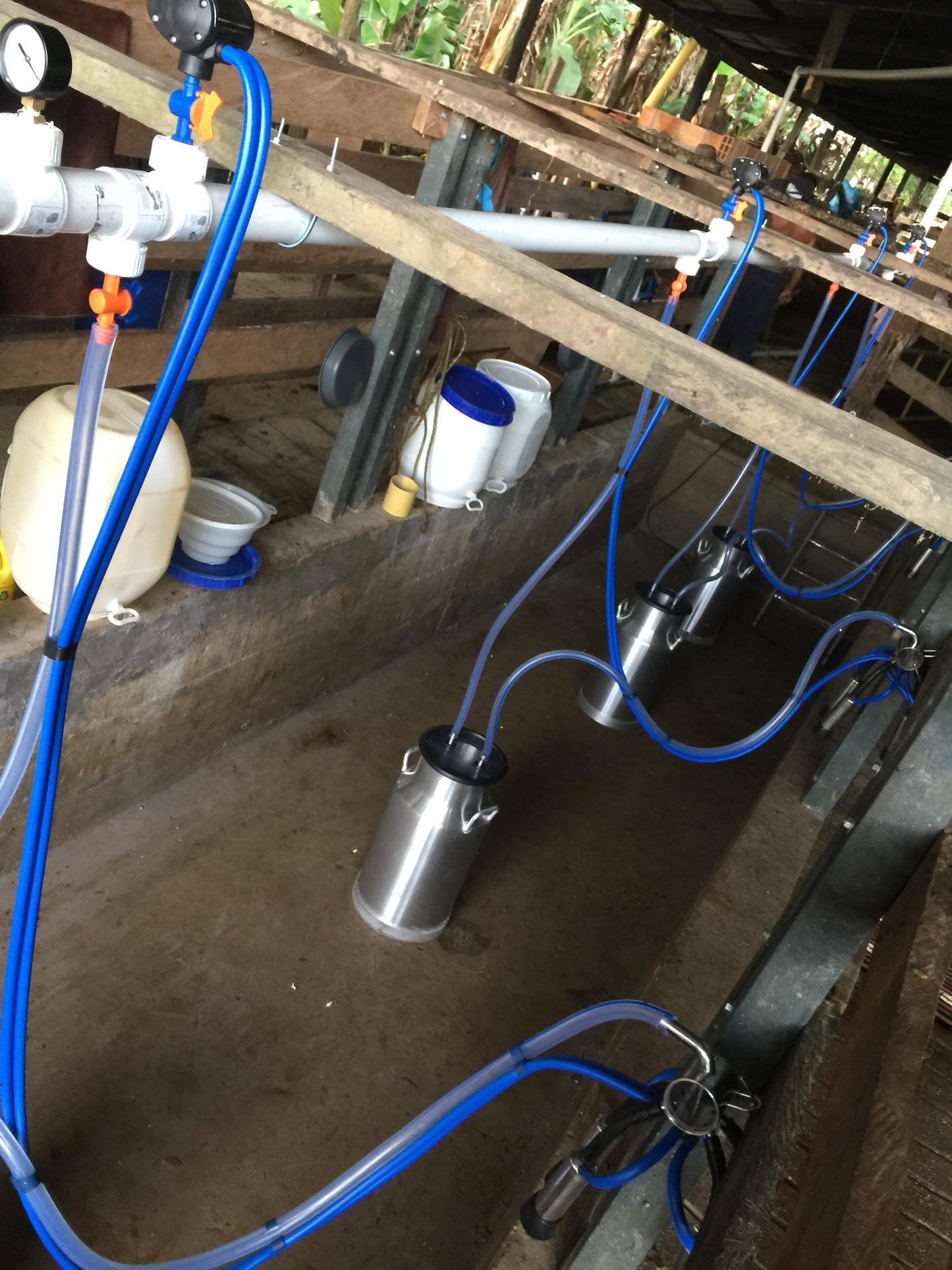 Equipo de Ordeño Fijo para Vacas 🐄🐄🐄