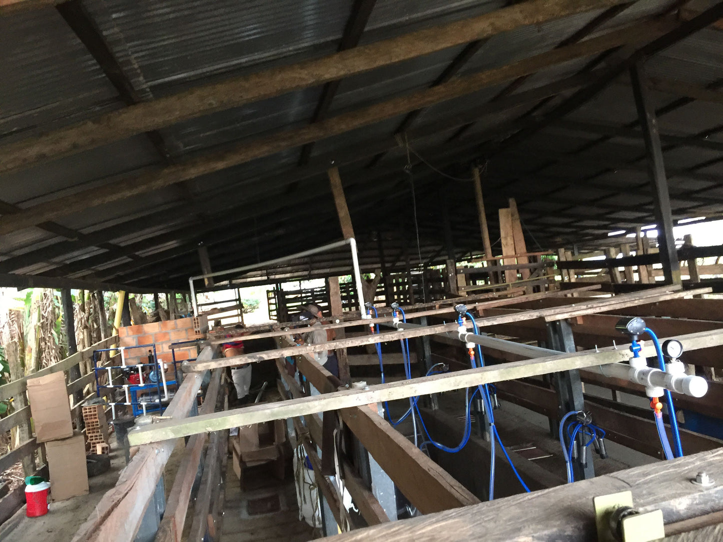 Equipo de Ordeño Fijo para Vacas 🐄🐄🐄