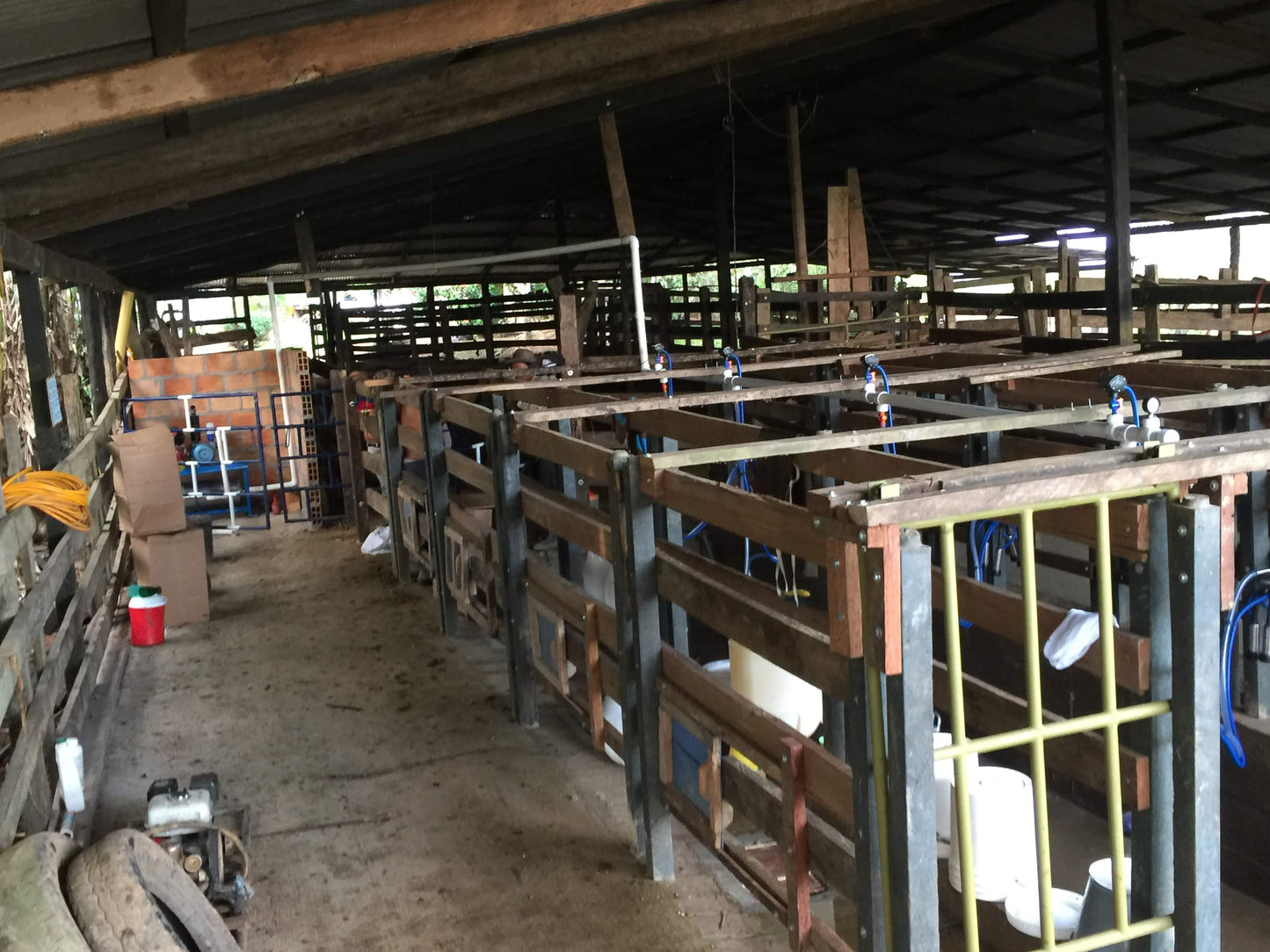 Equipo de Ordeño Fijo para Vacas 🐄🐄🐄