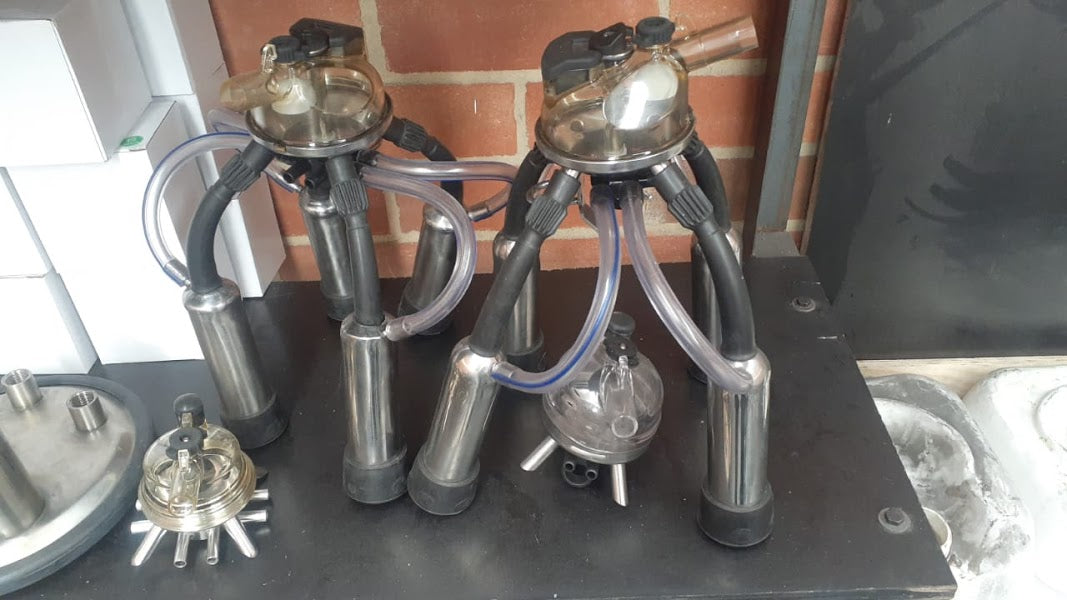 Colector de ordeño para vacas adaptable a Westfalia Classic 300 + ENVIO GRATIS 🚚