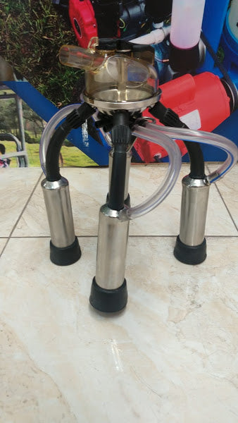 Colector de ordeño para vacas adaptable a Westfalia Classic 300 + ENVIO GRATIS 🚚