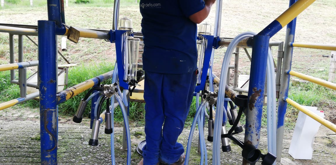 Equipo de Ordeño Fijo para Vacas 🐄🐄🐄