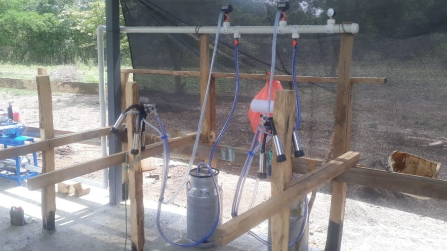 Equipo de Ordeño Fijo para Vacas 🐄🐄🐄