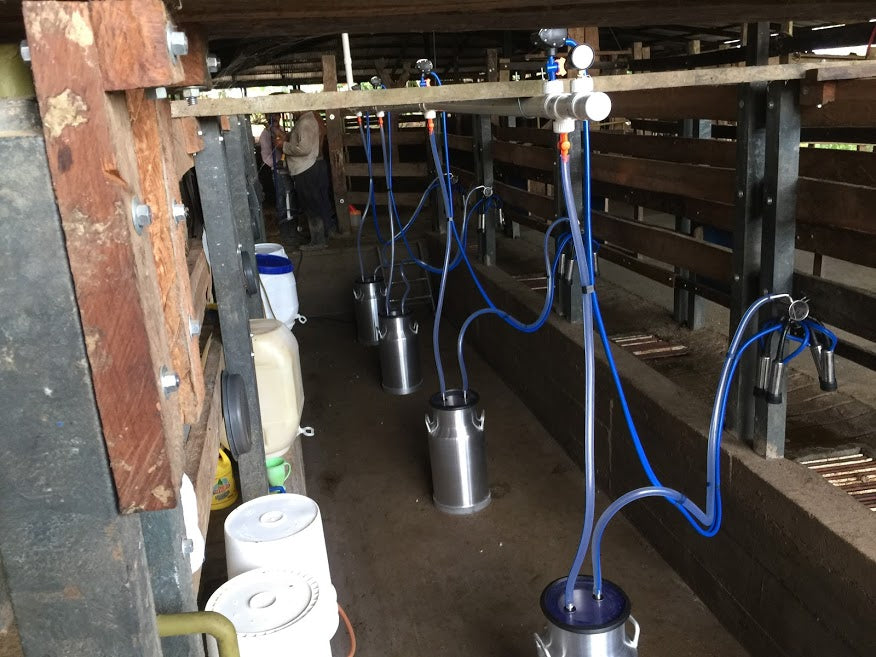 Equipo de Ordeño Fijo para Vacas 🐄🐄🐄
