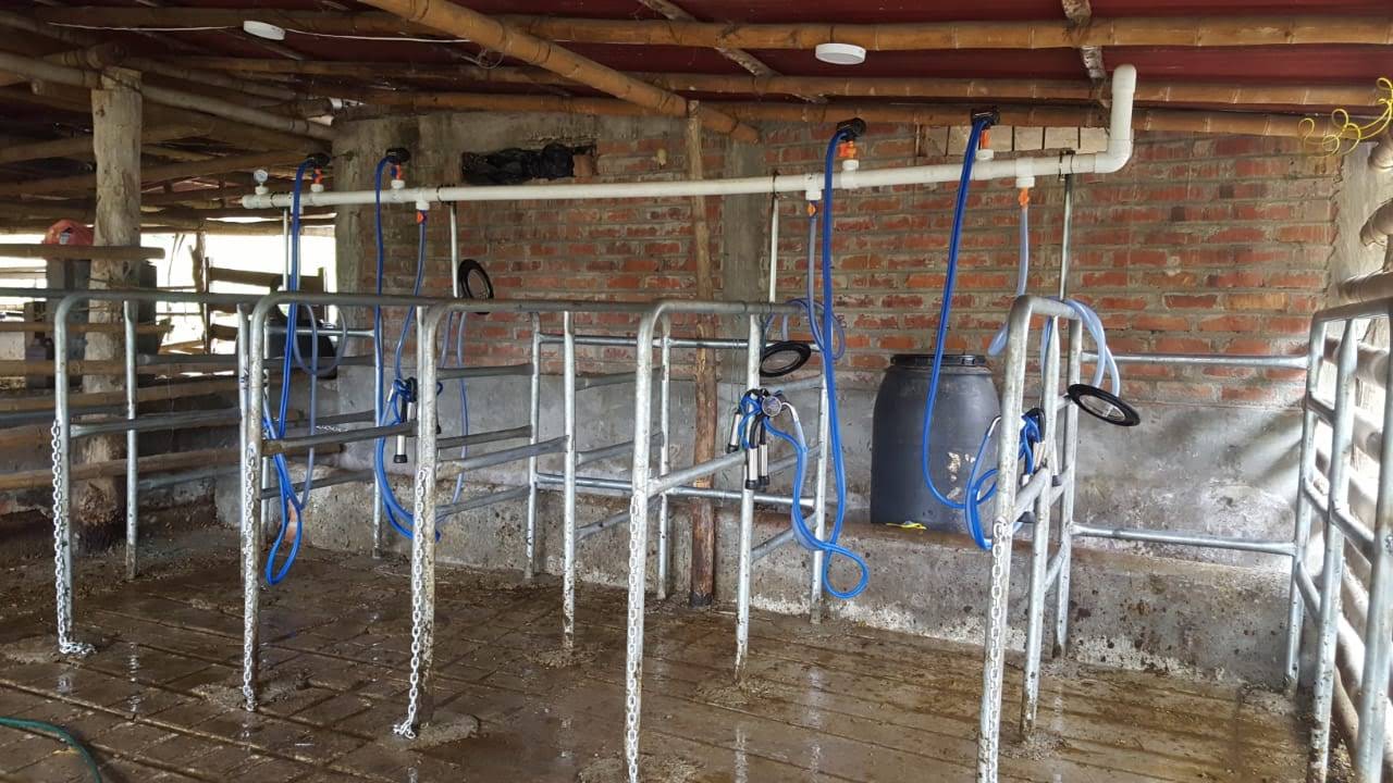 Equipo de Ordeño Fijo para Vacas 🐄🐄🐄