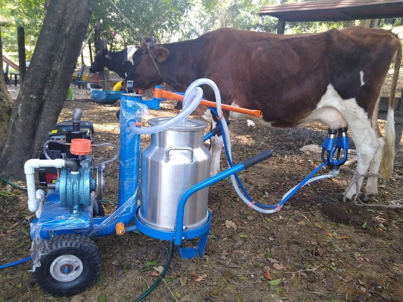 Equipo de Ordeño 1 puesto - Eléctrico o Gasolina - One Car