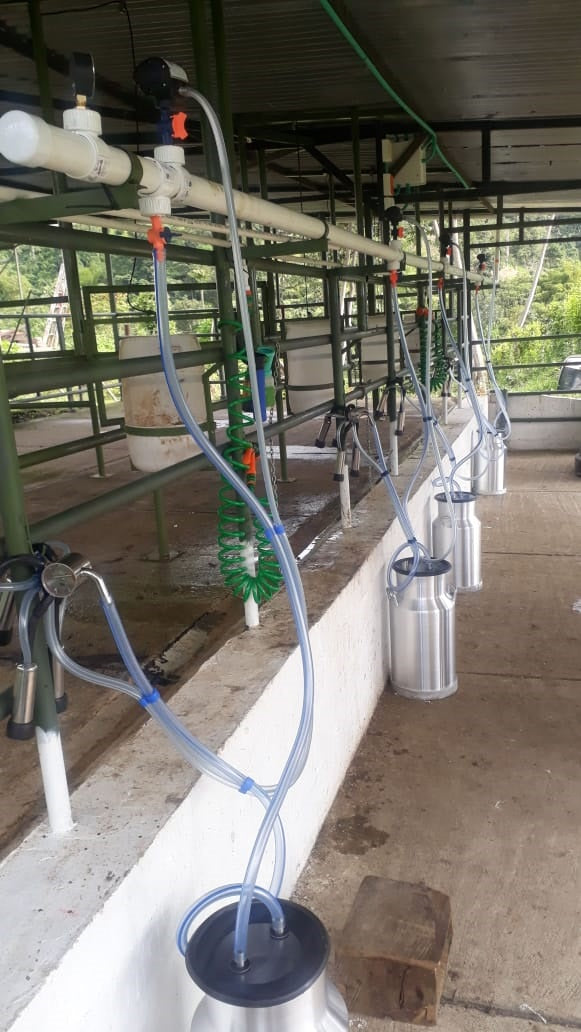 Equipo de Ordeño Fijo para Vacas 🐄🐄🐄