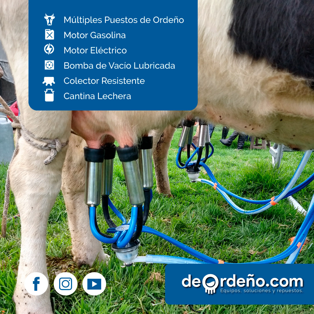Equipo de Ordeño Fijo para Vacas 🐄🐄🐄