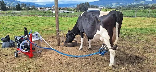 Equipo de Ordeño EcoMilk 🐄 Económico