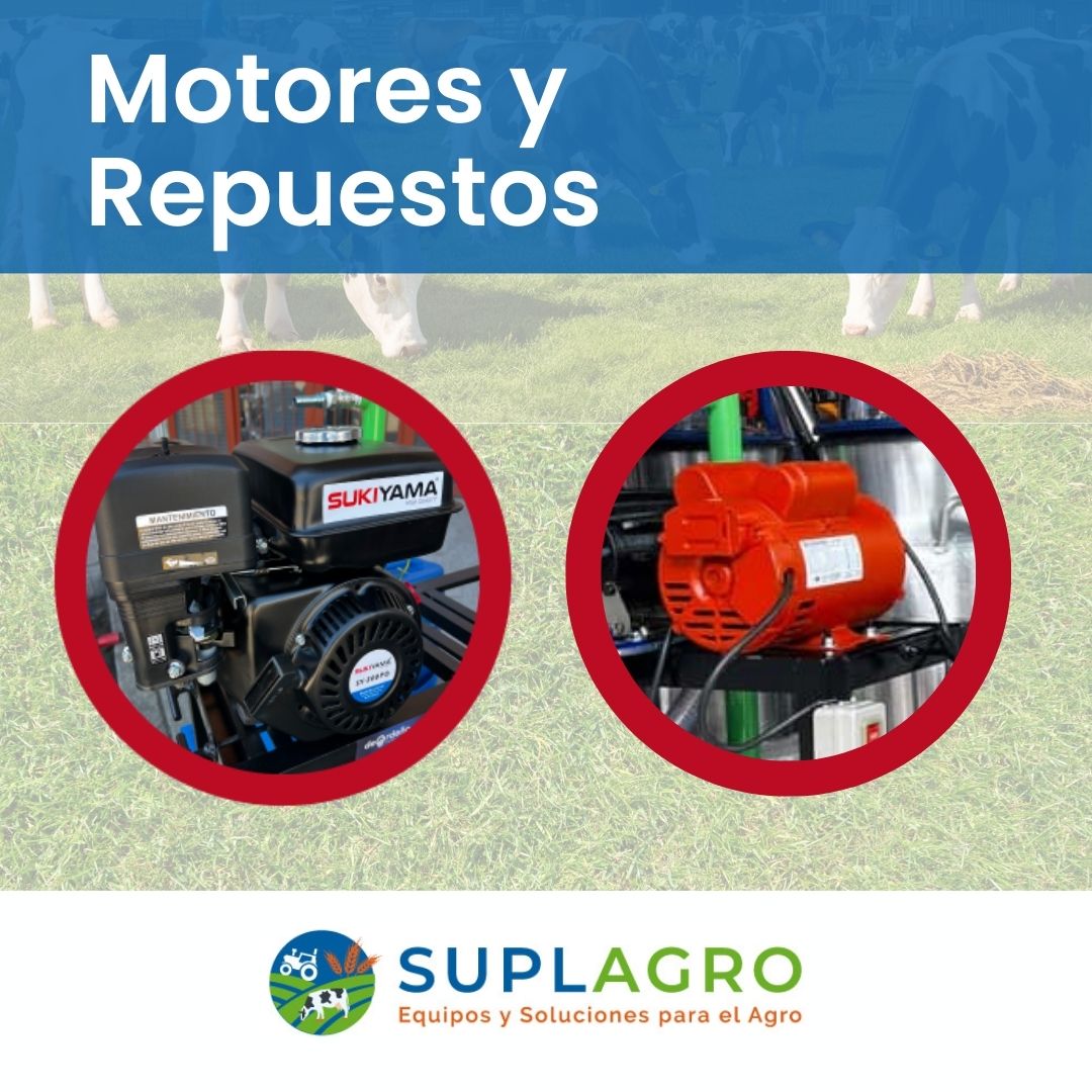 Motores y Repuestos Archivos SUPLAGRO